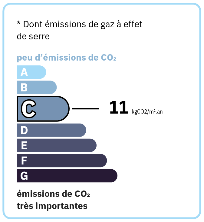 GES 11